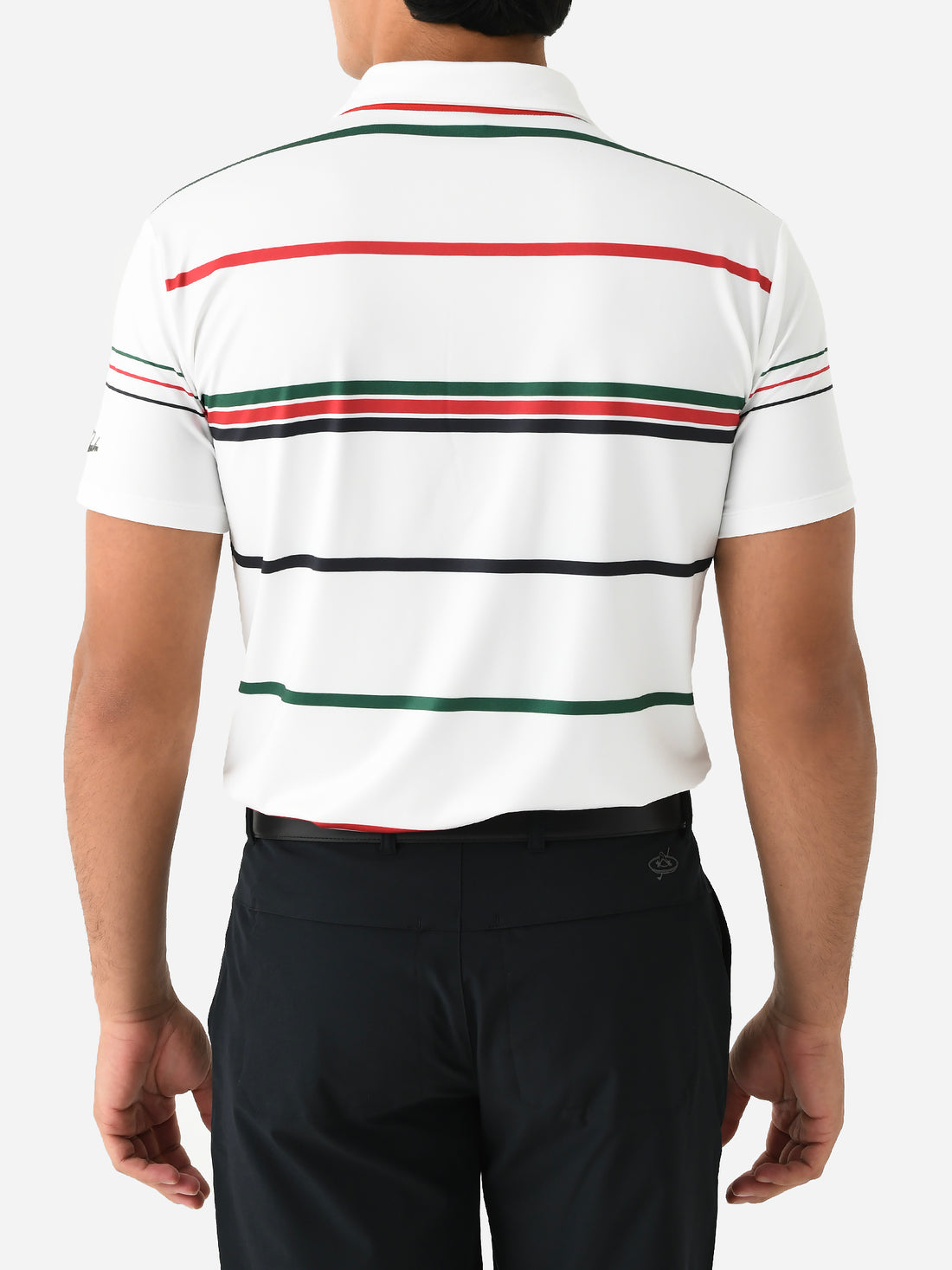 Mexico Fun Stripe Polo